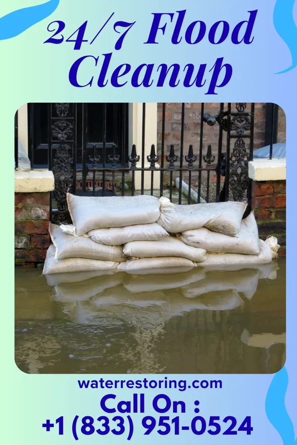 24/7 Flood Cleanup in Cambria, IL