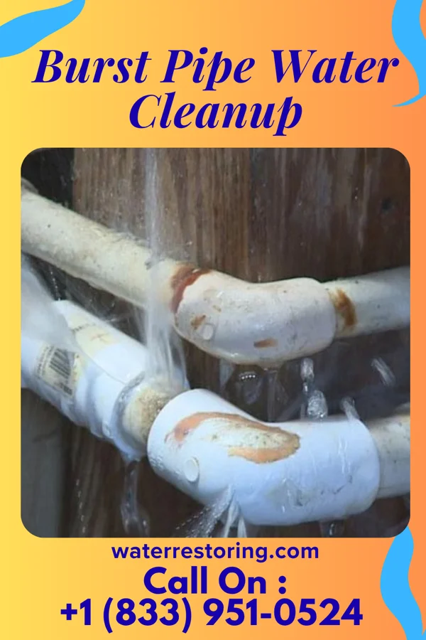 Burst Pipe Water Cleanup in Cambria, IL