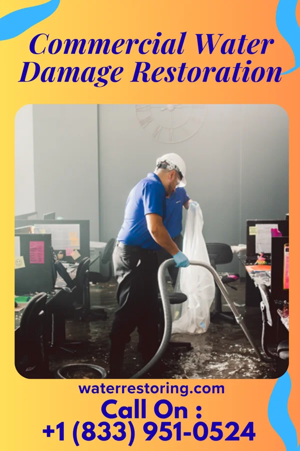 Commercial Water Damage Restoration in Cambria, IL