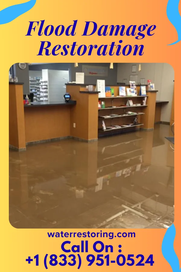 Flood Damage Restoration in Cambria, IL